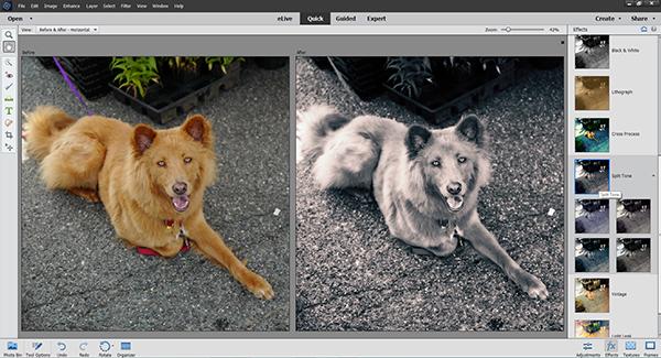 Exploring the New Features of Adobe Photoshop Elements 14 | Shutterbug